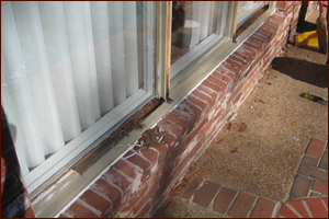 Rotted Window Sill